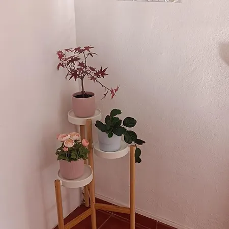 Precioso